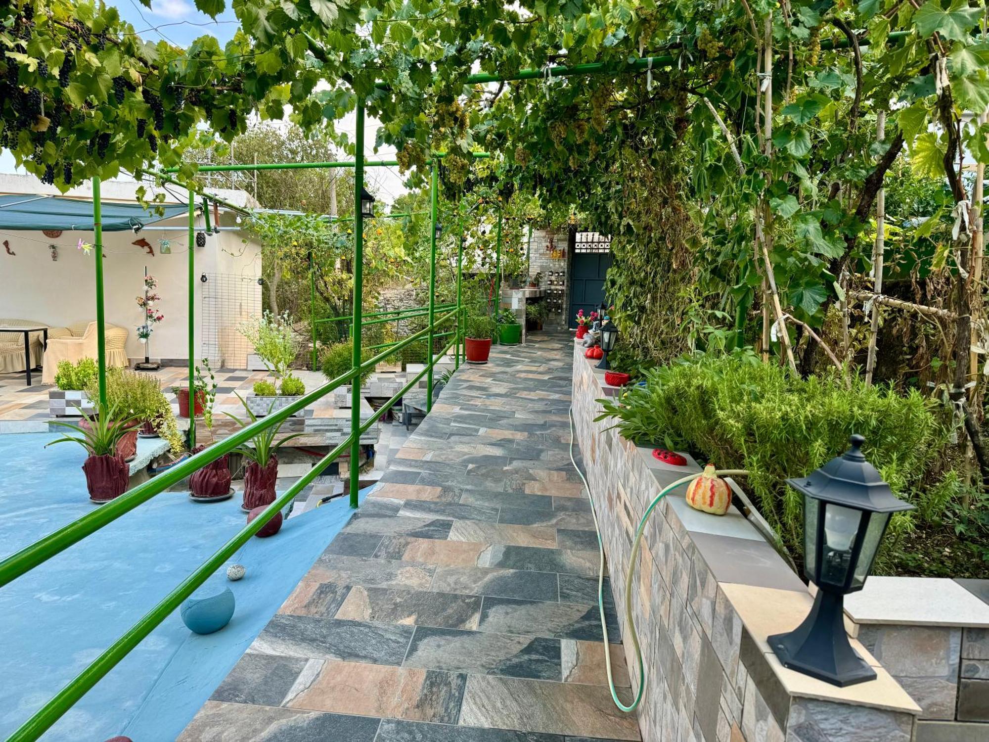 Panoramic View Guest House Gjirokastër Dış mekan fotoğraf