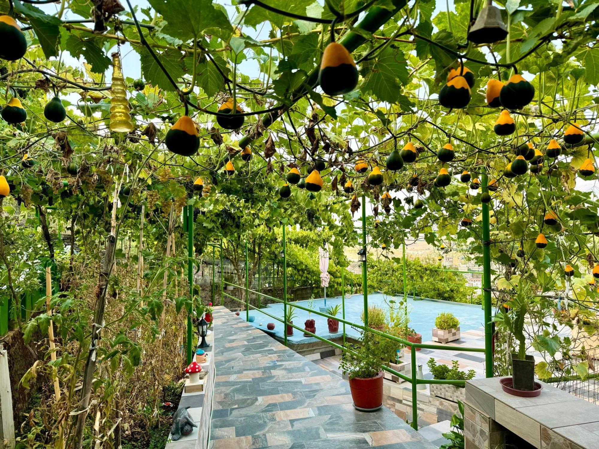 Panoramic View Guest House Gjirokastër Dış mekan fotoğraf